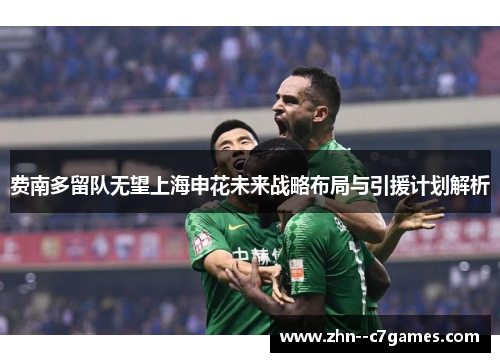 费南多留队无望上海申花未来战略布局与引援计划解析