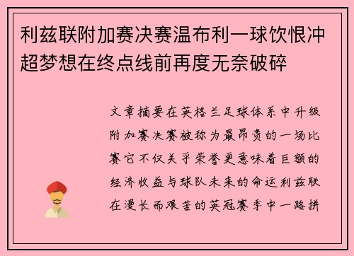 利兹联附加赛决赛温布利一球饮恨冲超梦想在终点线前再度无奈破碎