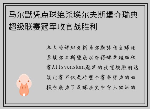 马尔默凭点球绝杀埃尔夫斯堡夺瑞典超级联赛冠军收官战胜利